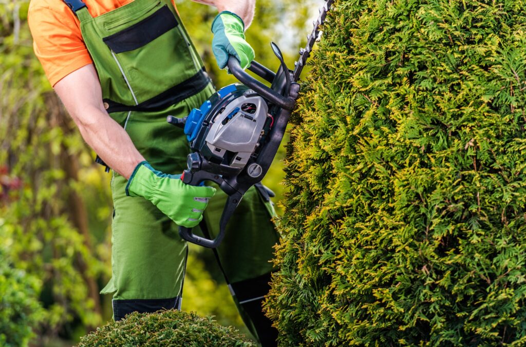 servicio de jardinería en Valencia