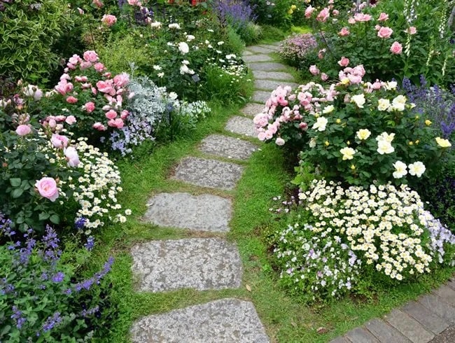 Las rosas combinan bien con muchas plantas perennes, arbustos, árboles y plantas anuales.